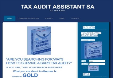 tax audit assistant
